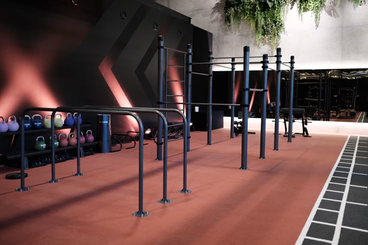 Outdoor Gym Park