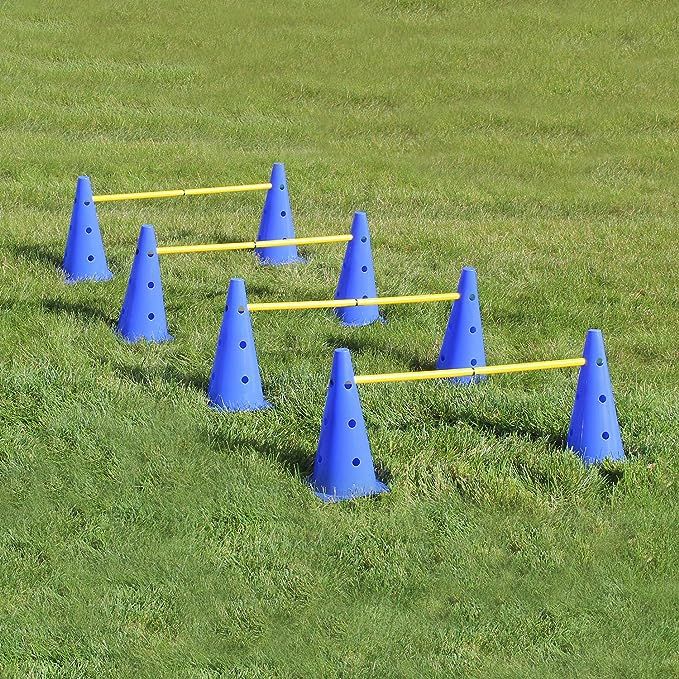2 Cones With Holes + 1 Meter Pole