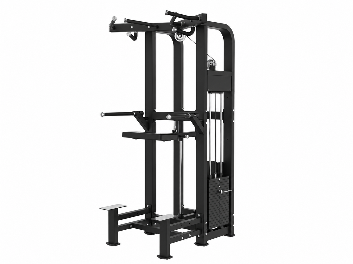 BEAST FIT Dip/Chin Assist