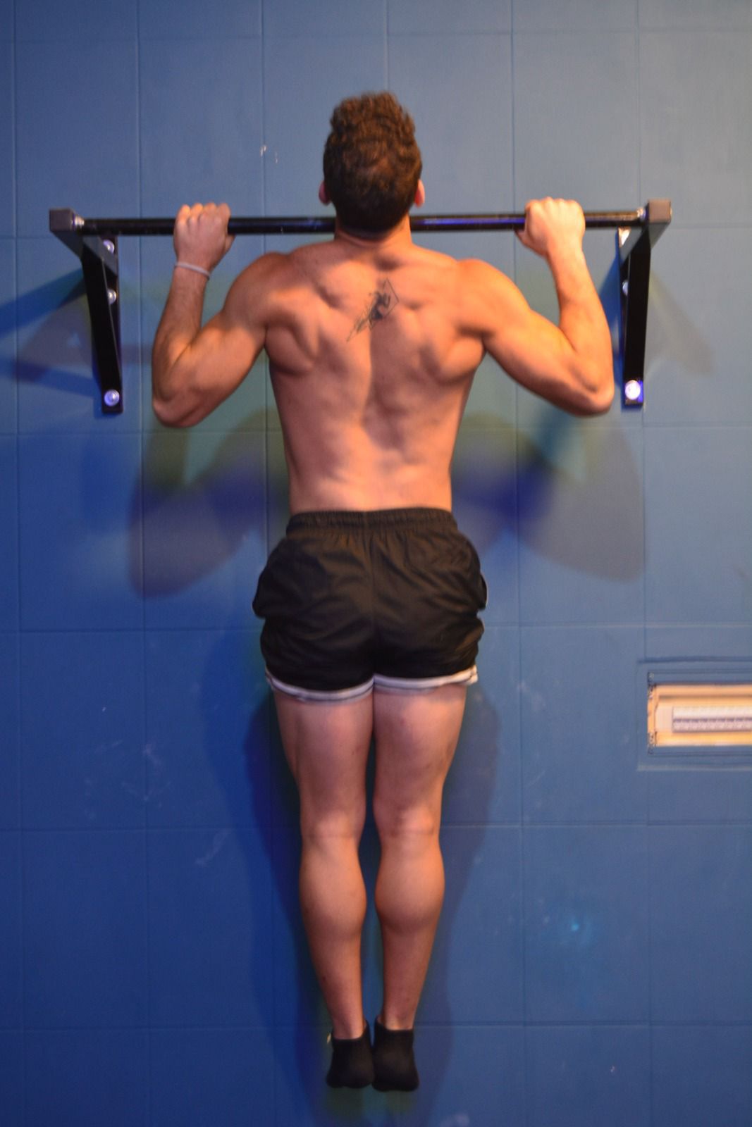 Wall Mounted Pull Up Bar