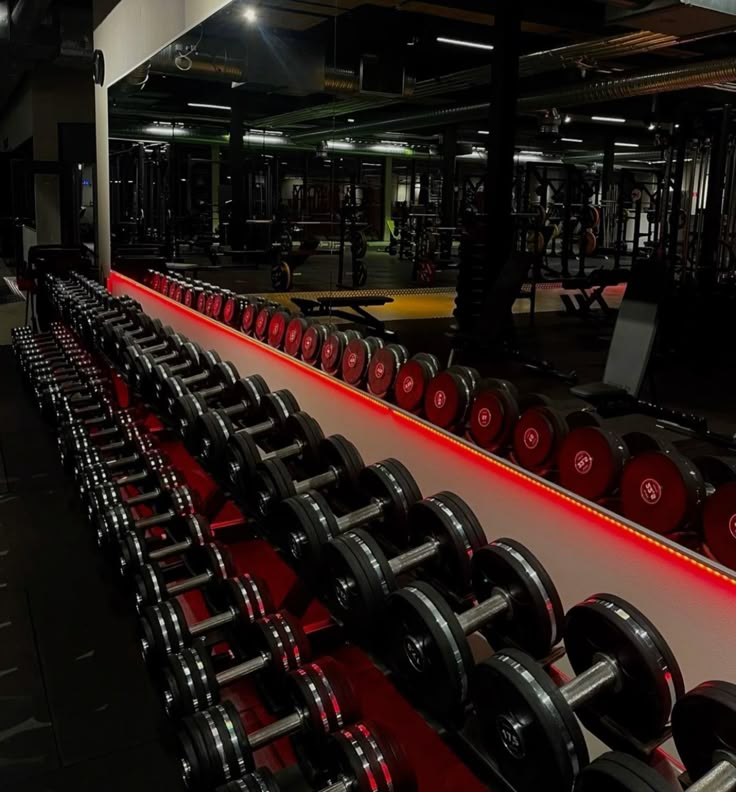 Gym/Home gyms