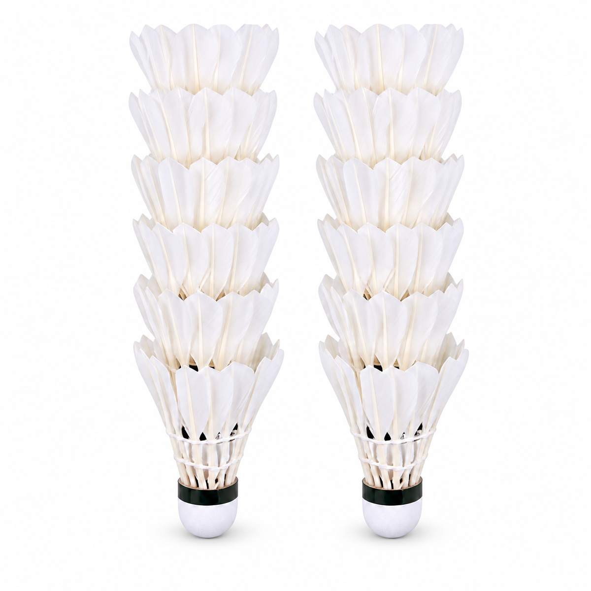 White Badminton Shuttlecocks — Set of 12 on white background
